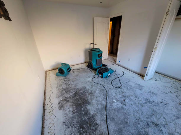 Best Flooded house restoration  in Alafaya, FL