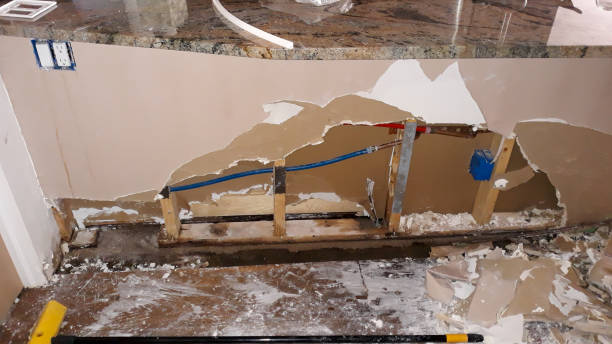 Best Professional water damage repair  in Alafaya, FL
