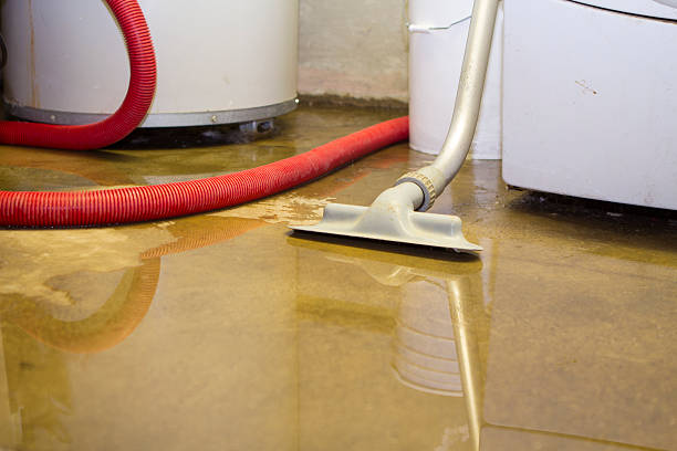 Best Water damage cleanup near me  in Alafaya, FL