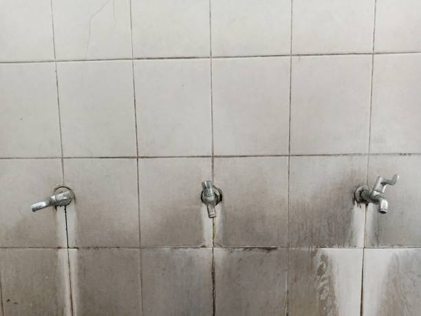 Best Flooded house restoration  in Alafaya, FL