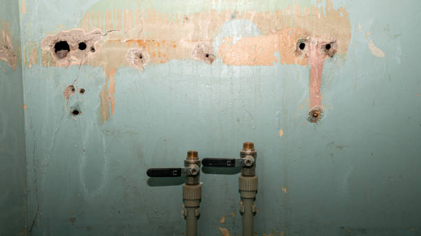 24/7 water damage repair in Alafaya, FL