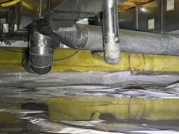 Best 24/7 water damage repair  in Alafaya, FL