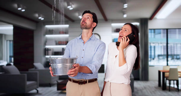 Best Professional water damage repair  in Alafaya, FL